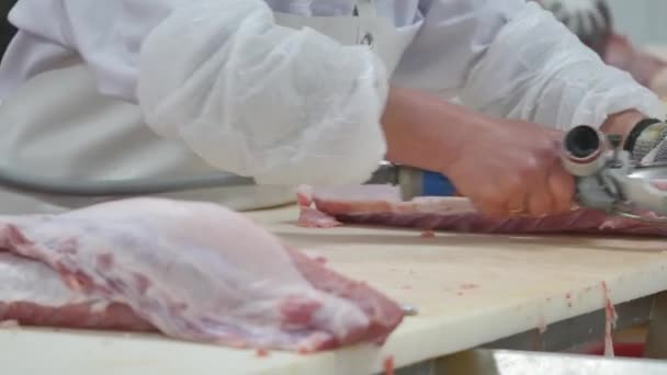 Мясник режет свинину в мясной промышленности — стоковое видео
