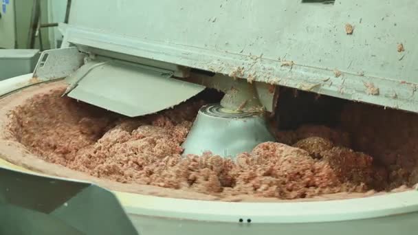 Équipement de l'industrie de la viande blanche — Video