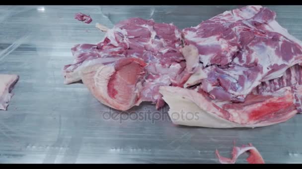 Kött bearbetningsanläggningen. Rått kött skär på ett industriellt transportband. — Stockvideo