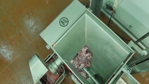 肉类工业设备 — 图库视频影像
