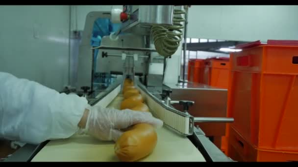 Výroba uzenek, produkce potravin v továrně — Stock video