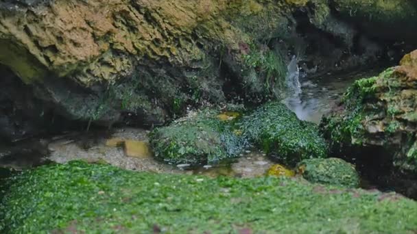 Pedra no mar com ondas lentas — Vídeo de Stock