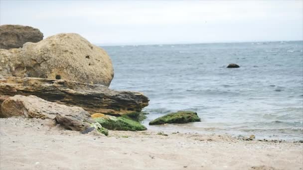 Piedra en el mar con olas en cámara lenta — Vídeos de Stock