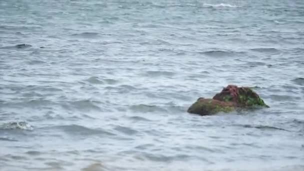 Pedra no mar com ondas lentas — Vídeo de Stock