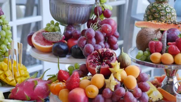 Buffet de frutas tropicais coloridas — Vídeo de Stock