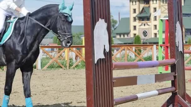 若い女性は、アリーナのスローモーションでイベント中に障害物を越える馬をジャンプします。 — ストック動画