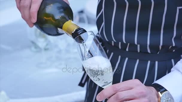 Barkeeper gießt Champagner in Glas, Nahaufnahme — Stockvideo