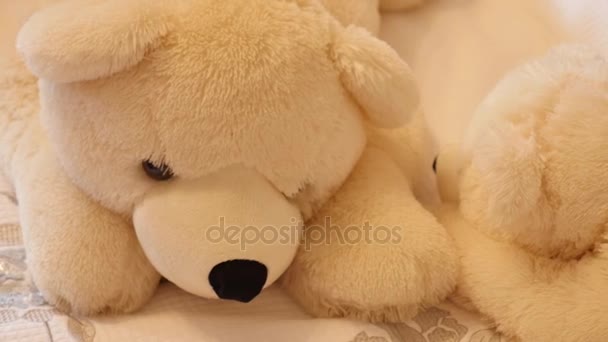 Big white teddy bear — Stock Video