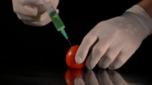 Мужские руки ученого со шприцем, впрыскивающим вещество в помидор — стоковое видео