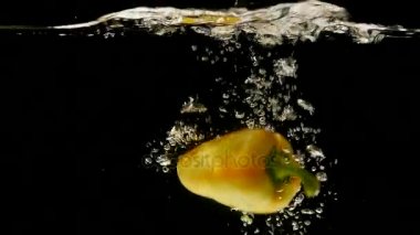 Sarı tatlı biber, capsicum annuum, siyah arka plan suya düşen sebze