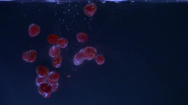 Viele Himbeeren fallen ins Wasser — Stockvideo