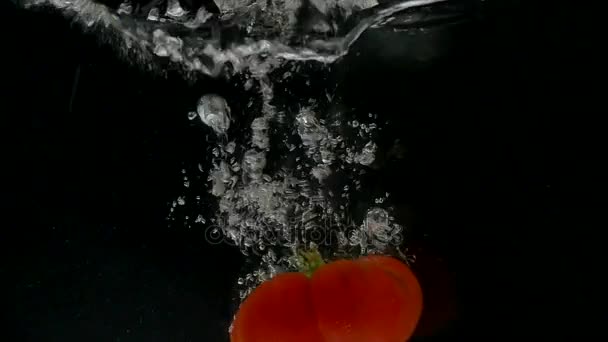 Tomates tombant dans l'eau sur fond noir — Video