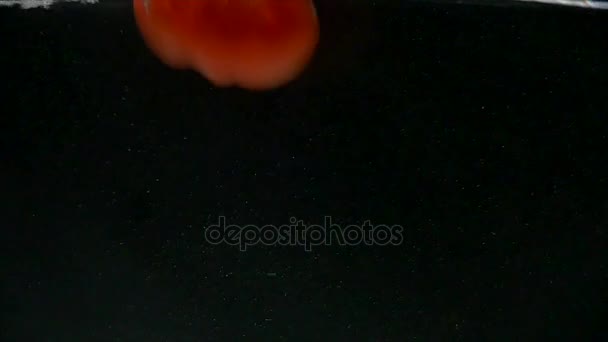 Tomates cayendo al agua sobre fondo negro — Vídeos de Stock