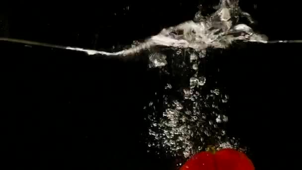 Red Sweet Peppers, capsicum annuum, Vegetable falling into Water against Black Background — Stock Video