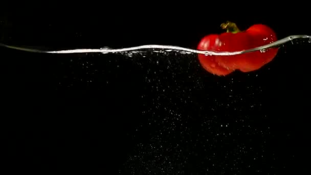 Pimientos dulces rojos, capsicum annuum, verduras cayendo en el agua contra el fondo negro — Vídeos de Stock