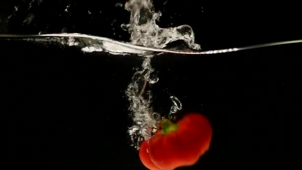 Rote Paprika, Paprika annuum, Gemüse fällt vor schwarzem Hintergrund ins Wasser — Stockvideo