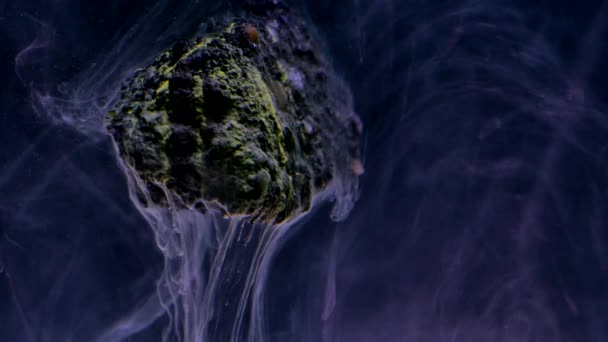 石と水の流れるインクの抽象的です — ストック動画