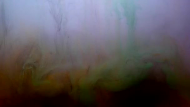 Encres dans l'eau, explosion de couleur — Video