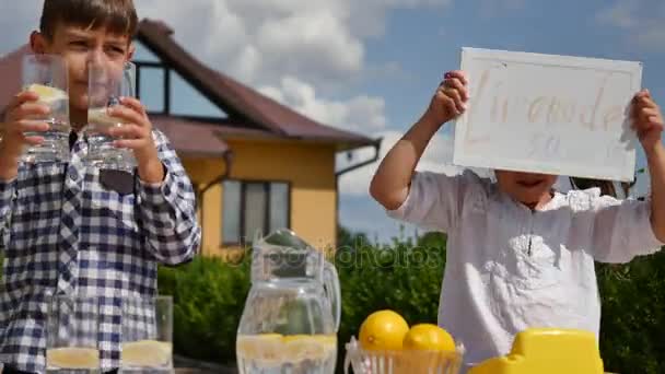 Twee kleine kinderen zijn de verkoop van limonade op een zelfgemaakte limonade stand op een zonnige dag met een prijzenbord voor een ondernemer concept — Stockvideo