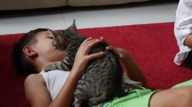 Çocuk bir kedi bir zemin üzerinde çalış