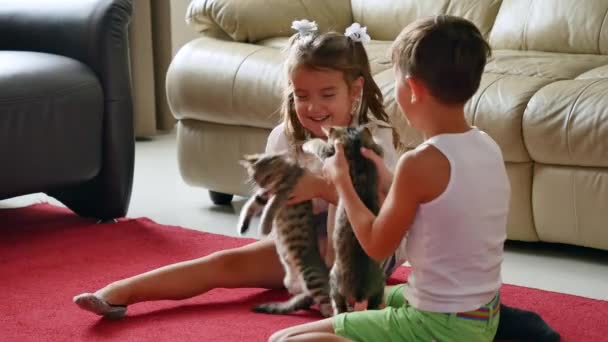 Şirin Bebek childs yavru kedi ile oynarken — Stok video