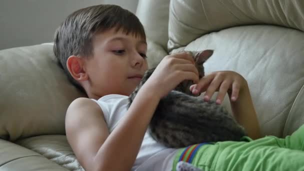 Söt liten pojke med katt på soffa — Stockvideo