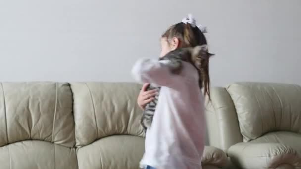 Criança menina brincando com gato gatinho — Vídeo de Stock