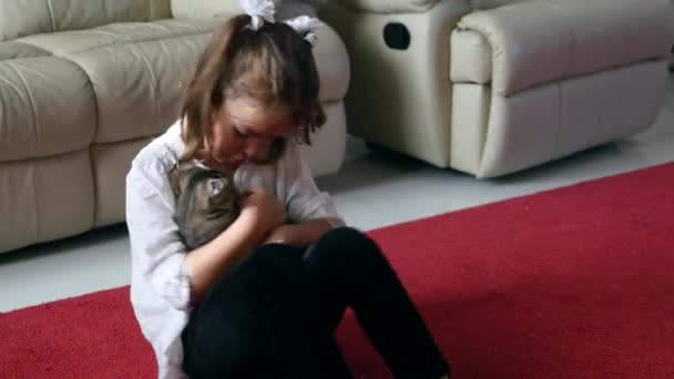 Κορίτσι παιδί που παίζει με το γατάκι γάτα — Αρχείο Βίντεο