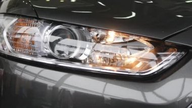 Portre üzerinde bir koyu gri araba Far