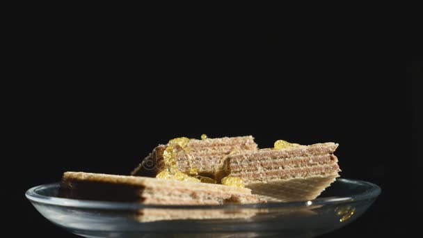 Honey poured on a waffle on a black background — Stock Video