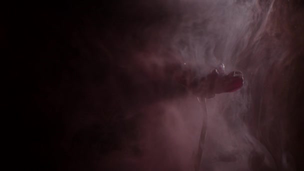 marguerite rouge et peinture dans l'eau. encre abstraite dans l'eau 