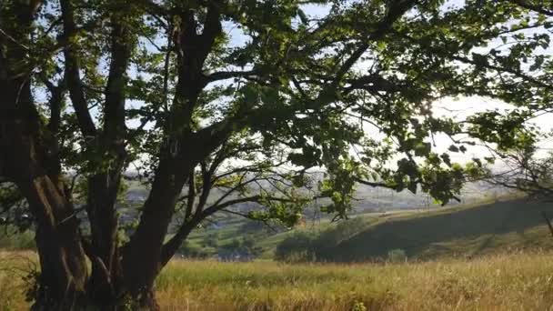 Montañas al atardecer. Hermoso paisaje natural en el tiempo de verano — Vídeos de Stock