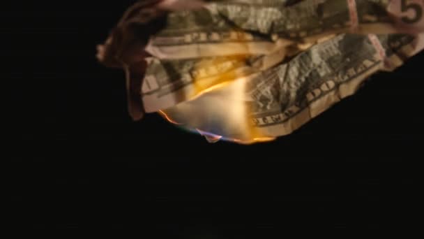 Les dollars brûlants se rapprochent sur fond noir — Video