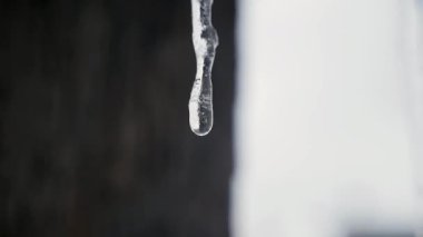 buz sarkıtları damlayan, buz sarkıtları, çatıdan asılı saçağı eriyor, damla bahar