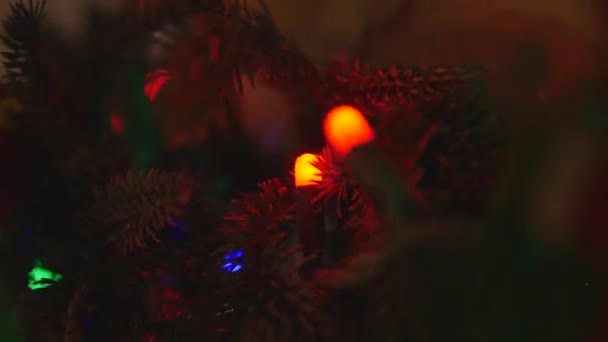 전나무 가지에 있는 크리스마스 장식 — 비디오