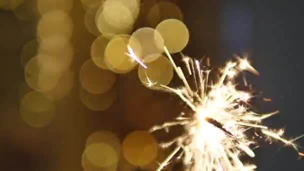 배경에 불빛을 비추며 불꽃놀이를 하는 사람 — 비디오