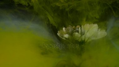 Renkli mürekkep karışımı ile güzel çiçek