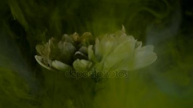 Mürekkep arka plan ile çiçek