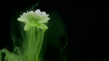 Mürekkep arka plan ile çiçek