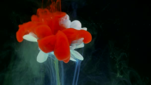 Flor con tinta fondo abstracto — Vídeos de Stock