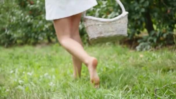 Los pies de una joven caminando por el huerto de manzanas — Vídeo de stock