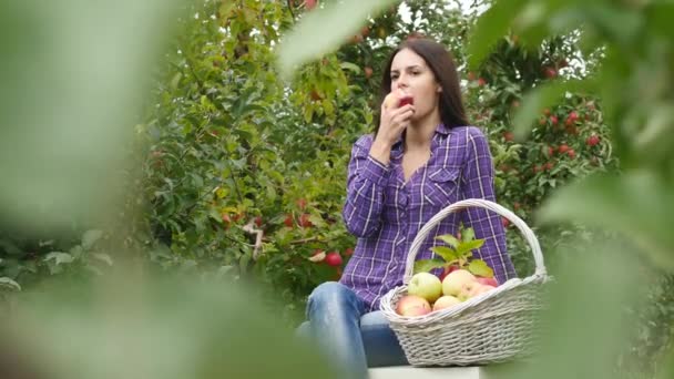 Hezká mladá zahradník dívka sedí na dřevěný stůl poblíž koš plný ovoce a trochu chuti jablko ovoce — Stock video