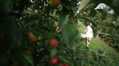 Güzel bir kız gider ve güneşli bir günde plantasyonunda görünüyor. Konsept: biyolojik ürünler, doğal ürünler, taze, lezzetli, meyve, sebze, büyümek, su, bitki, fotosentez