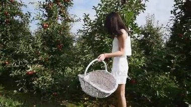 Güzel bir kız gider ve güneşli bir günde plantasyonunda görünüyor. Konsept: biyolojik ürünler, doğal ürünler, taze, lezzetli, meyve, sebze, büyümek, su, bitki, fotosentez
