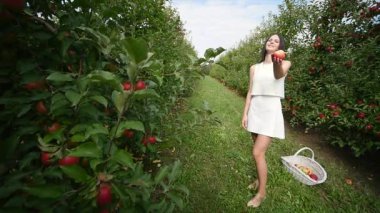 Güzel bir kız gider ve güneşli bir günde plantasyonunda görünüyor. Konsept: biyolojik ürünler, doğal ürünler, taze, lezzetli, meyve, sebze, büyümek, su, bitki, fotosentez