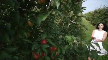 Güzel bir kız gider ve güneşli bir günde plantasyonunda görünüyor. Konsept: biyolojik ürünler, doğal ürünler, taze, lezzetli, meyve, sebze, büyümek, su, bitki, fotosentez