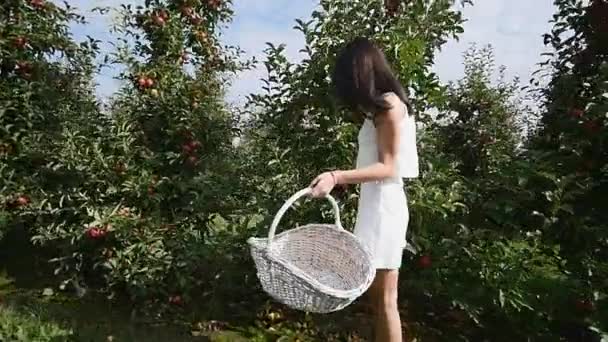 En vacker flicka går och ser på plantagen, en solig dag. Koncept: bioprodukter, naturliga produkter, färska, läckra, frukter, grönsaker, växa, vatten, växter, fotosyntes — Stockvideo
