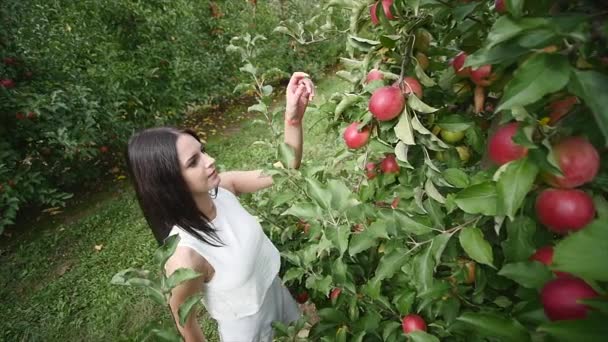 Ein schönes Mädchen geht an einem sonnigen Tag auf die Plantage und betrachtet sie. Konzept: Bioprodukte, Naturprodukte, frisch, köstlich, Obst, Gemüse, Anbau, Wasser, Pflanzen, Photosynthese — Stockvideo