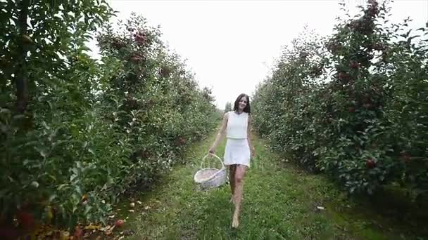 Una hermosa chica va y mira a la plantación, en un día soleado. Concepto: bio productos, productos naturales, frescos, deliciosos, frutas, verduras, crecer, agua, plantas, fotosíntesis — Vídeo de stock