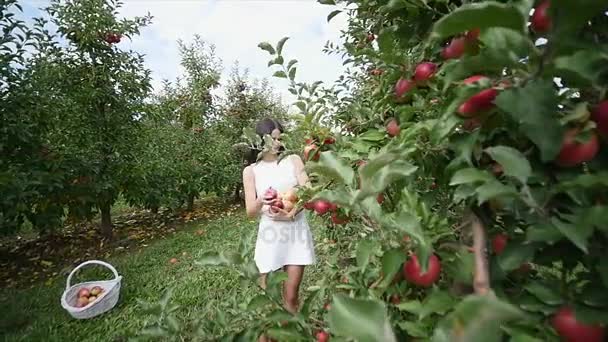 Uma linda garota vai e olha para a plantação, em um dia ensolarado. Conceito: produtos biológicos, produtos naturais, frescos, deliciosos, frutas, legumes, crescer, água, plantas, fotossíntese — Vídeo de Stock